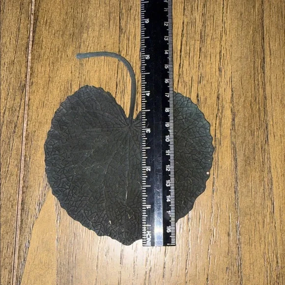 Set of 6 Vintage Rubber Leaf Shaped Coasters John P Gleason Los Angeles 1950's - Picture 3 of 7